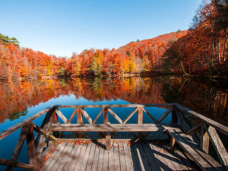 1 Gece Konaklamalı MAŞUKİYE – ORMANYA – SAPANCA – GÖLCÜK – ABANT – YEDİGÖLLER TURU