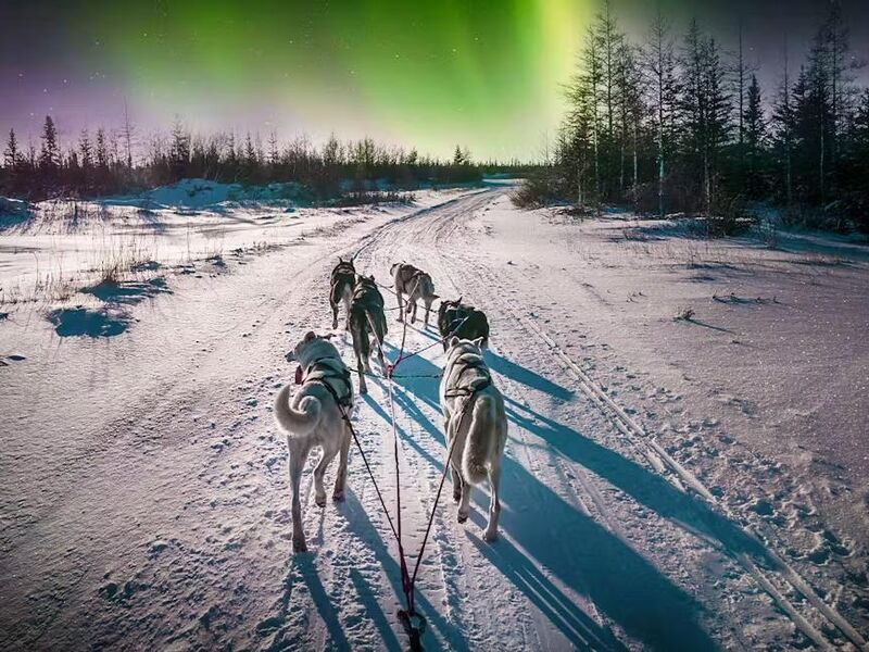 Kuzey Işıkları Turu
