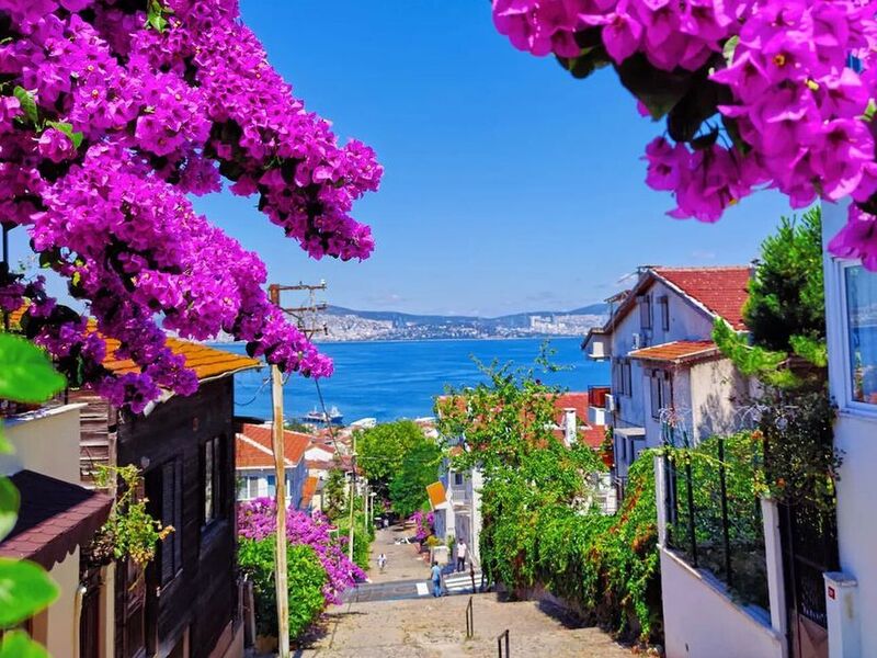 1 GECE KONAKLAMALI İSTANBUL ADALAR TURU