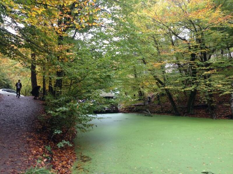1 GECE KONAKLAMALI MAŞUKİYE ORMANYA SAPANCA BOLU ABANT GÖLCÜK YEDİGÖLLER TURU
