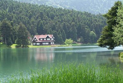 1 GECE KONAKLAMALI MAŞUKİYE ORMANYA SAPANCA BOLU ABANT GÖLCÜK YEDİGÖLLER TURU