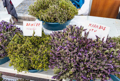 ALAÇATI OT FESTİVALİ