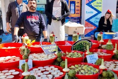 GÜNÜBİRLİK BODRUM ACI OT FESTİVALİ TURU