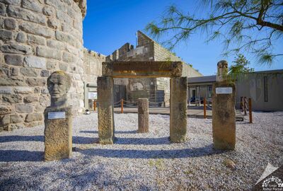 GÜNÜBİRLİK BODRUM ACI OT FESTİVALİ TURU